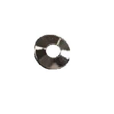 Ashirvad CPVC Flange - 50000954