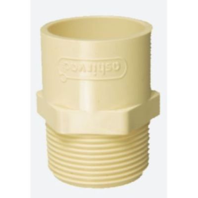 Ashirvad Male Adapter Plastic Threaded - MAPT -70000516