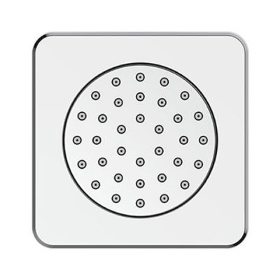 Asianpaints Bathsense Wall Mounted Body Shower - BSBJ301