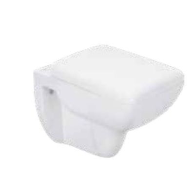 Asianpaints Bathsense Mystic Wall Mounted Closet WH-24-P