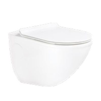 Asianpaints Bathsense Proton Wall Hung Closet - White - WH-29-UF