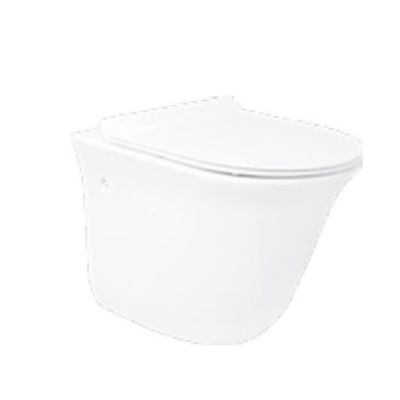 Asianpaints Bathsense Spry Wall Hung Closet - White - WH-39-P