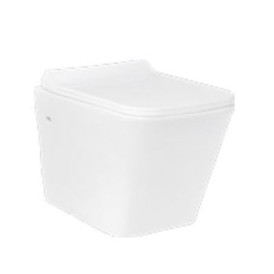 Asianpaints Bathsense Invictus Wall Hung Closet - White - WH-40-P