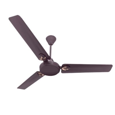 Crompton Bruna 1200mm Berry-Blast 3 Blade Latest  Design with Duperior Air Delivery Fans
