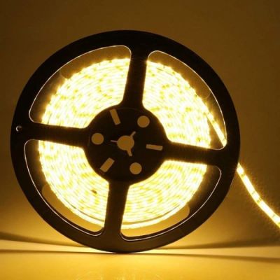 Chronos 5Mtr 2835 SMD Warm White 120 LED Strip Light-STL