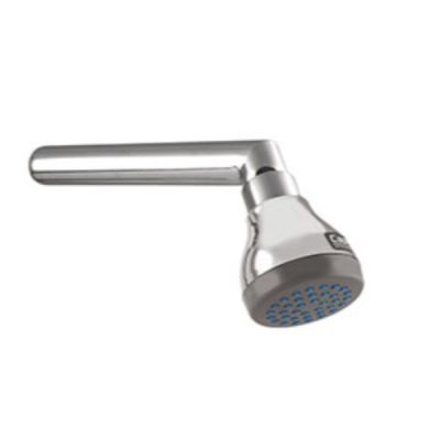 Capri Milton Stainless Steel Overhead Shower with Arm-SH-3246