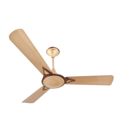 Crompton Greaves Avancer Prime 900mm Antidust Ceiling Fan-56W-420rpm-Cocoa Gold-AVR-PR-COGLD-9