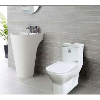 Elegant Casa Washdown Integrated Water Closet-Vitreous-Dual Flush 362-White-300MM-S Trap