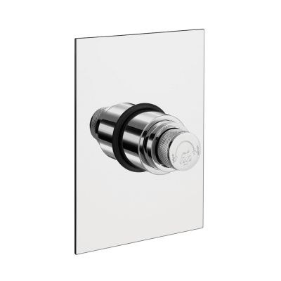 ESS ESS Dual Flush Valve with Square Plate - E-251D-Rail