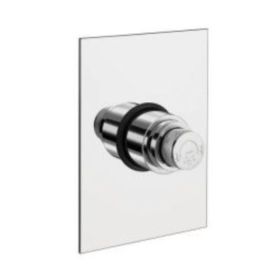 ESS ESS 32mm Dual Flush Valve With Square Plate - E251DCPFL