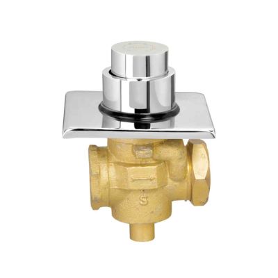 Cera Flush Valve Concealed Push Type Single Flush 32mm-F8010104