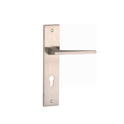 IPSA Moderna Flax Door Handle with 10 Inch Plate - MSS Finish - 1992