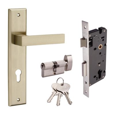 IPSA Iris Peach Mortise Lever Door Handle Lockset On 10 Inch Plate With 60 mm S1 - 1 Side Key 1 Side Knob Cylinder - FSS Finish - 6038