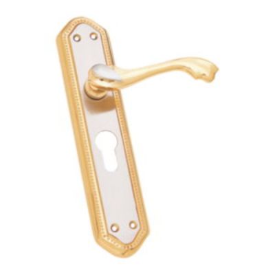 Kodia Vatican Brass 10Inch Gold Finish Mortice Handles Kodia-282-10-GL