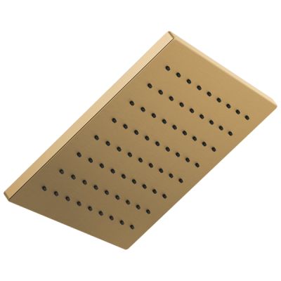 Leo Elegant Gold 8x8Inch Stainless Steel Over Head Rain Shower LEO-LEG-145