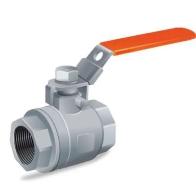 Leo M.S 25mm Checek Valve with S.S Ball Spindle LEO-LMV-615