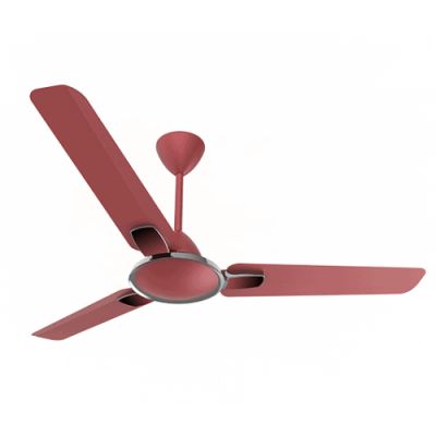 Crompton Markle Prime 1200mm Red-velvet Anti Dust Fan