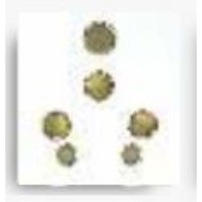 Neeon Cube Series 6/16A 250V Glossy White Multi Socket SwitchNEE-10134