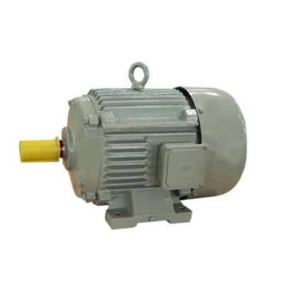 Oswal OM 6 ATCHK 2HP Cast Iron Single Phase Induction Electric Motor-FG004178