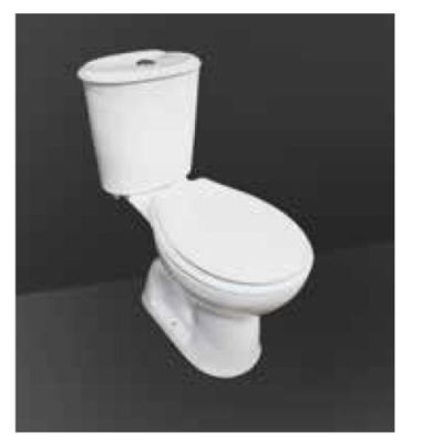 Rak Two Piece Commode Orchid S220MM-Ivory