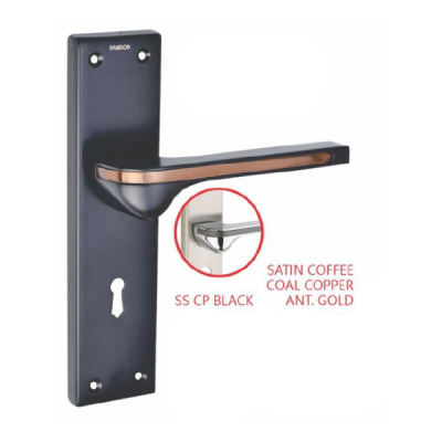 Ramson 10 Inch Raisin SS Plate Zinc HDL CP Black Mortice Handle