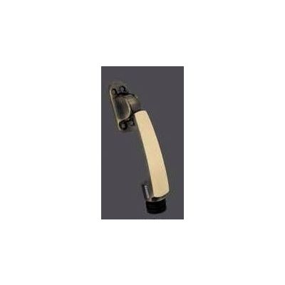 Ramson Ray Brass Finish Door Control RAM-RAY-B-DS