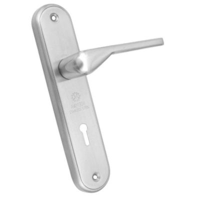 Ramson 5 Inch SS Plate Satin Silver Stainless Steel Mortise Handle
