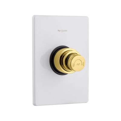 Asianpaints Royale Signature Gold Rush Flush Valve - GRFV101