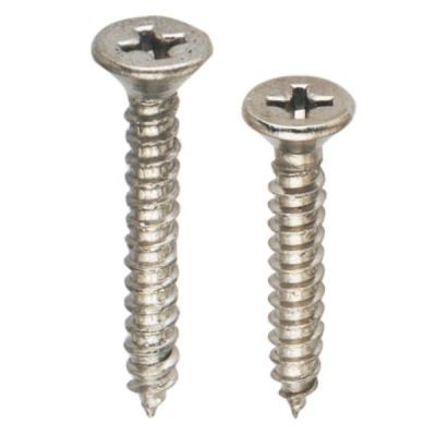Spider 4x16mm Nickel Full Thread Stainless Steel Phillips Screw-TP1C416
