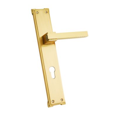 Tyler Brass Door Handle With Mortise Lock-MH-1035-11-Gold Antique