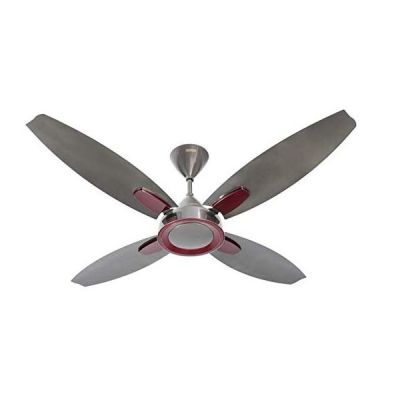 Usha Bloom Lily 1300mm Sparkle Black and Maroon Ceiling Fan